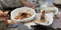 Banner image for Workshop | Mindful Clay| Winter Reflections with Fran Romano