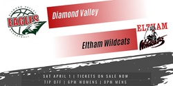 NBL1 Diamond Valley Eagles vs Eltham Wildcats