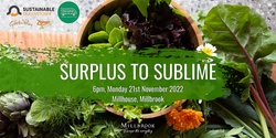 Banner image for Green Drinks: Surplus to Sublime