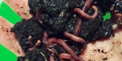 Banner image for Worm Wrangle and homemade fertilisers workshop