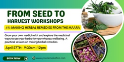 Banner image for MAKING HERBAL REMEDIES FROM YOUR MAARA