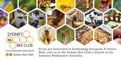 Banner image for Sydney Bee Club Apiary Field Day