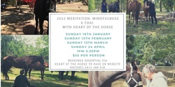 Banner image for Meditation, Mindfulness & Chai with Heart of the Horse 13 February 2022