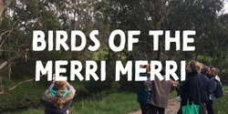 Banner image for Birds of the Merri Merri 