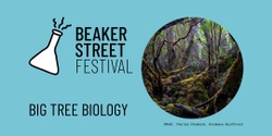 Banner image for Big Tree Biology at Mount Field