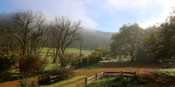 Banner image for Small Farm Visit to Southampton Homestead