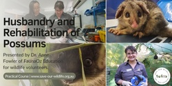 Banner image for Husbandry & Rehabilitation of Possums presented by Dr. Anne Fowler