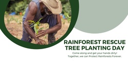 Banner image for November Tree Planting Day