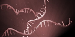 Banner image for RNA-Seq Analysis using Galaxy