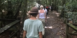 Banner image for Women's nature immersion walk