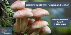 Banner image for Wildlife Spotlight: Fungus and Lichen