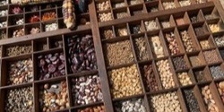 Banner image for Introduction to Seed Saving
