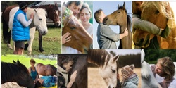 Banner image for Horses, You & Your Relationship Weekend Retreat * 9-11 February 2024