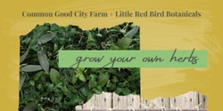 Banner image for Herbalism Workshop: Grow Your Own Herbs w/ Holly Poole-Kavana