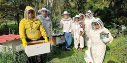 Banner image for New Beekeepers Find the Hidden Secret To Huge Supplies of Raw Pure Honey