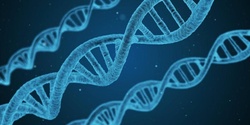 Banner image for Preparing for the 2023 HSC Biology Exam (31/3/23)