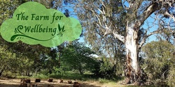 Banner image for Grandmother Tree Meditation and Labyrinth Walk 2023