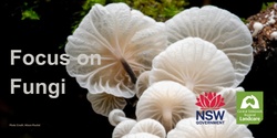 Banner image for Focus on Fungi -Saturday Session