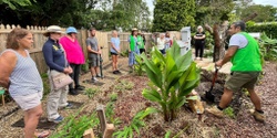 Banner image for How to Grow Food at Home Workshop at My Regenerative Garden in Tamborine Mountain 