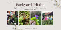 Banner image for Backyard Edibles: Wild Plant Allies in the DMV