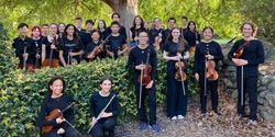 Banner image for Auditions for BlueScope Youth Orchestra