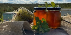 Banner image for Preparing Hive Products for Show: An afternoon with legendary honey judge Bruce White OAM