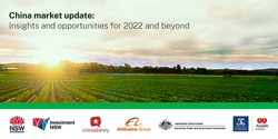 Banner image for China market update: Insights and opportunities for 2022 and beyond