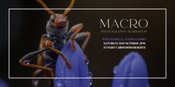 Banner image for MACRO Photography Workshop