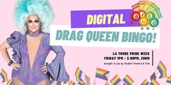 Banner image for STF Presents: Drag Queen Bingo