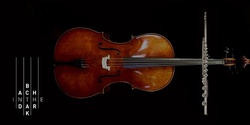 Bach in the Dark - Cello and Flute Live Streaming