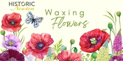 Banner image for Waxing Flowers