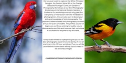 Banner image for Bird Photography Workshop