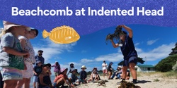 Banner image for Beachcomb at Indented Head