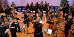 Banner image for Young Mannheim Symphonists 2024 NSW State Academy Concert