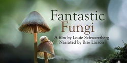 Banner image for Fantastic Fungi- Exclusive Melbourne Additional Screening- LATER SHOWING