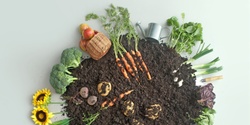 Banner image for Beginners Guide to Growing Veggies