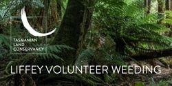 Banner image for Liffey Volunteer Weeding | TLC Liffey Reserve, Liffey