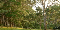 Banner image for Curramore Wildlife Sanctuary Hike: Thursday 22 August
