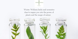 Banner image for Winter Wellness - A Herbal Farmacy Afternoon