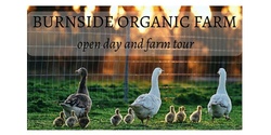 Banner image for Burnside Organic Farm open day and farm tour