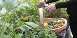 Banner image for Sydney Edible Garden Trail 2023 - Nov 4th and 5th