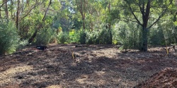 Banner image for Gardiners Creek Reserve Project - First Planting