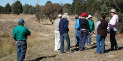 Banner image for 'Trees on Farms' hosted by Boorowa Landcare & Biodiversity Conservation Trust 