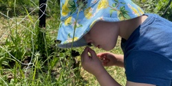 Banner image for Nature Playgroup @ CERES, Brunswick East - Mondays Term 3 2024