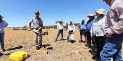 Banner image for Soil + Carbon  & Regen Ag Field Day - Harden NSW