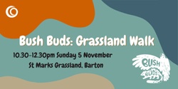 Banner image for Bush Buds: Grassland Walk 