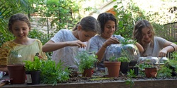 Banner image for  Rainforest in a Jar at the Blue Mountains Botanic Garden