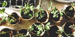 Banner image for Produce Gardening for Renters (online) - City of Whittlesea Sustainable Communities Workshop Series 2024