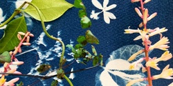 Banner image for Botanical Impressions with Cyanotype