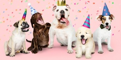 Banner image for Little BIG Puppy Party